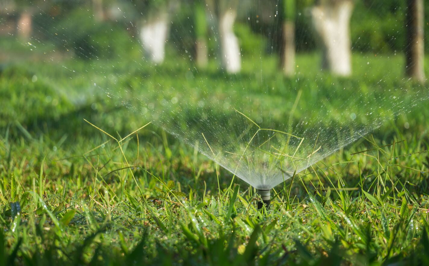 Smart garden irrigation and healthy green plants